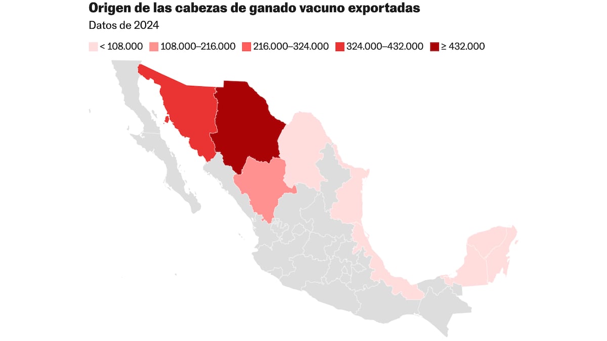 Cinco gráficos sobre el comercio de ganado vacuno entre México y Estados Unidos