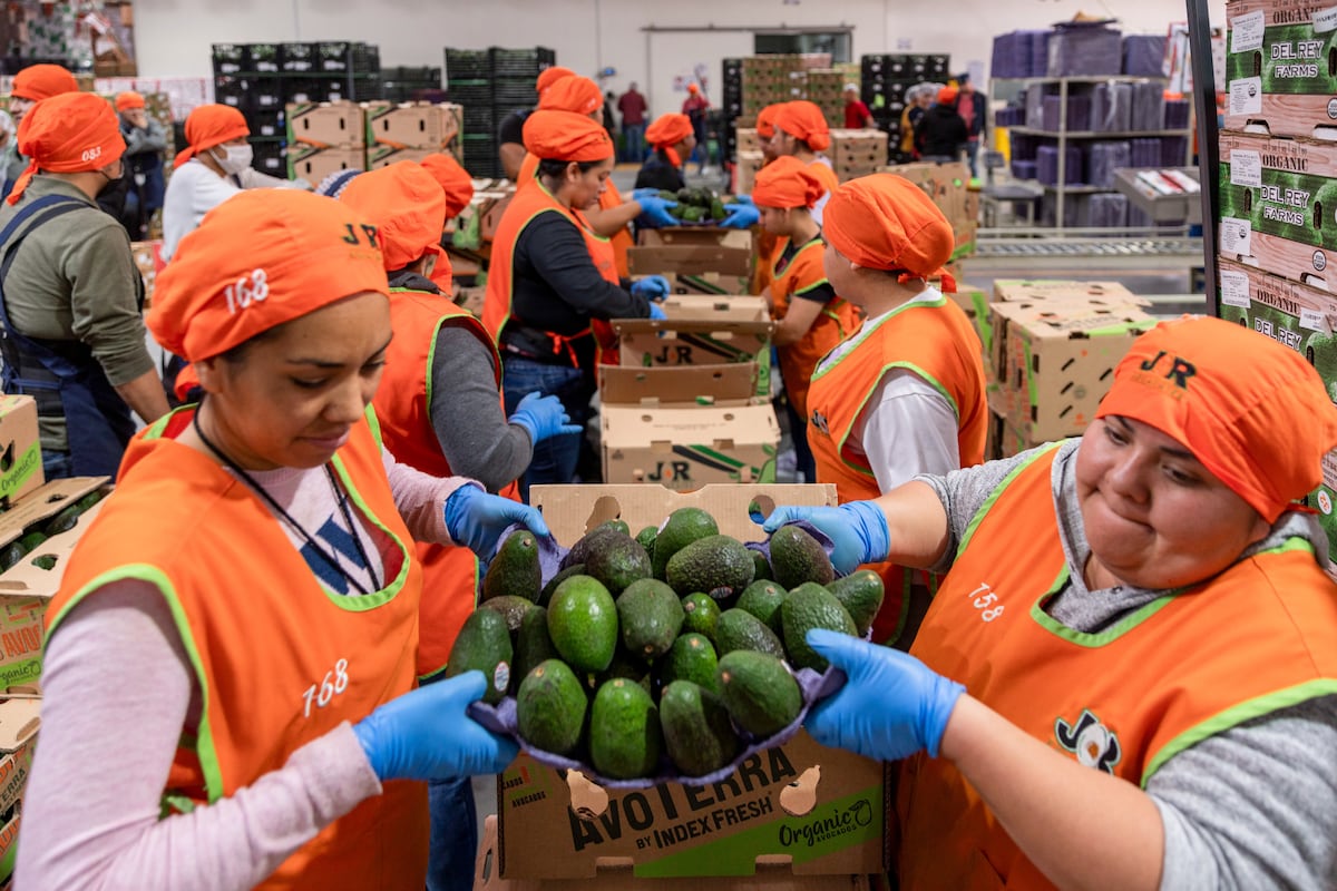 El mercado anticipa un “crecimiento nulo” para la economía mexicana en 2025 | Economía