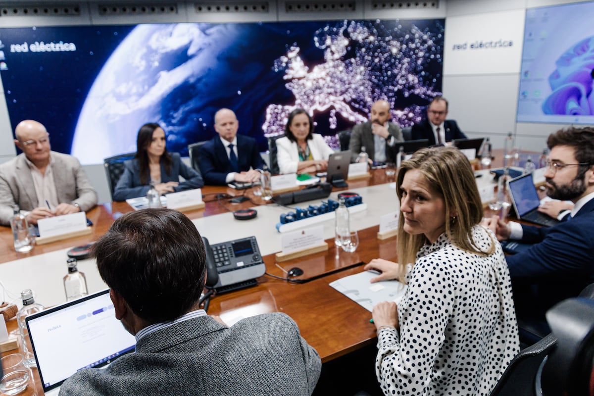 REE y la CNMC advirtieron ya en 2023 de que eran necesarias “medidas urgentes” por riesgos en la red | Economía