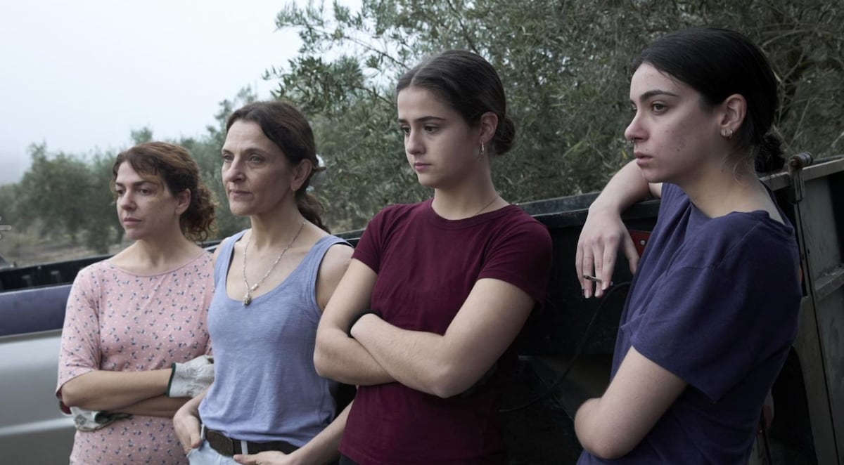 Qué apatía provoca la cartelera | Cine: estrenos y críticas