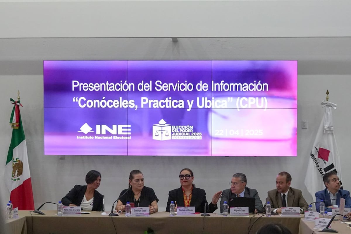 El Congreso comienza la batalla jurídica en el INE para impugnar una veintena de candidaturas judiciales de dudosa reputación