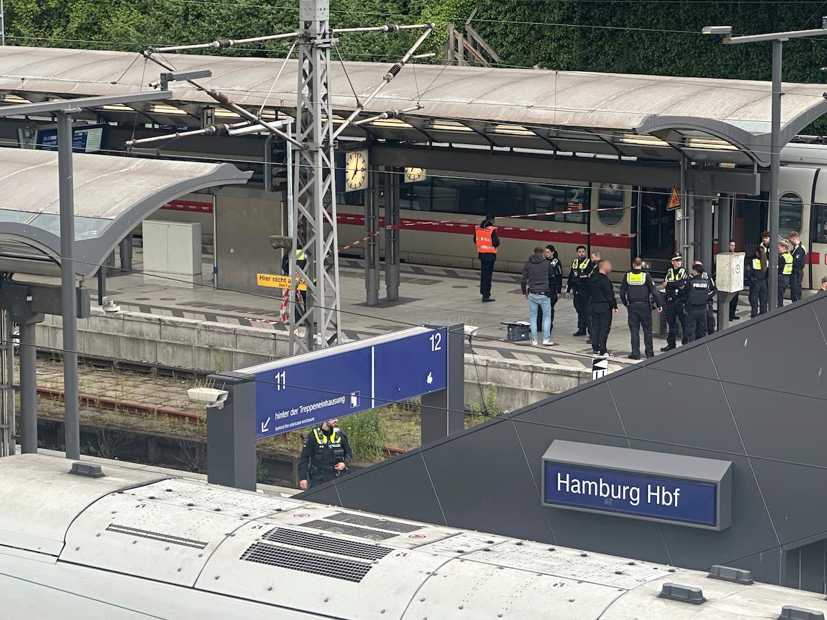 Doce heridos en un ataque con cuchillo en una estación de tren en Hamburgo | Internacional