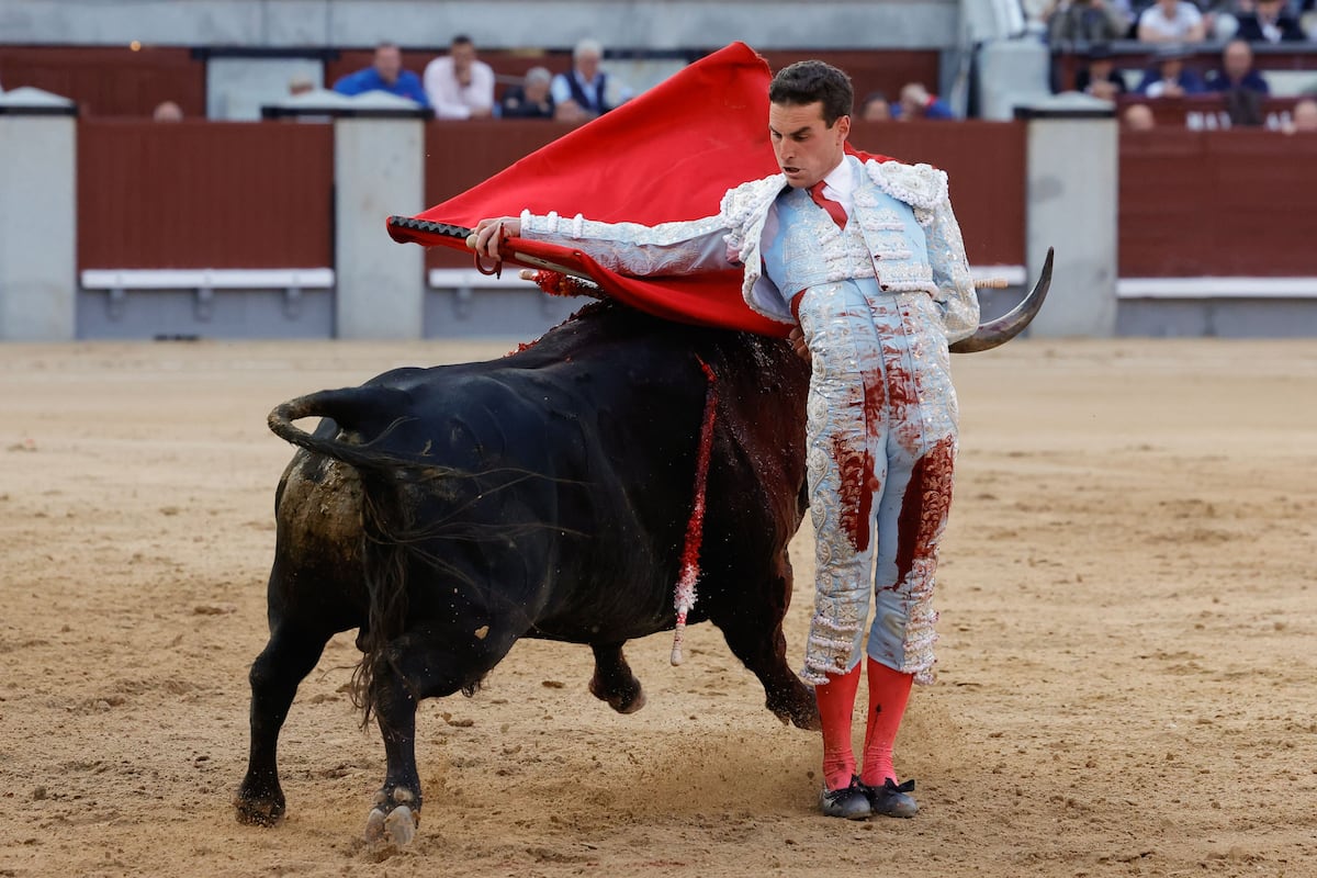 Feria de San Isidro: Frenoso, la casta del toro bravo | Cultura