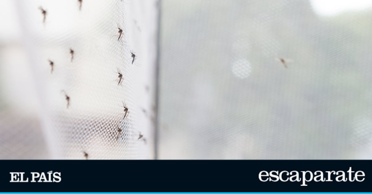 Mosquiteras en casa y sin instalación con esta novedad de Amazon (cuesta menos de 6 euros) | Estilo de vida | Escaparate