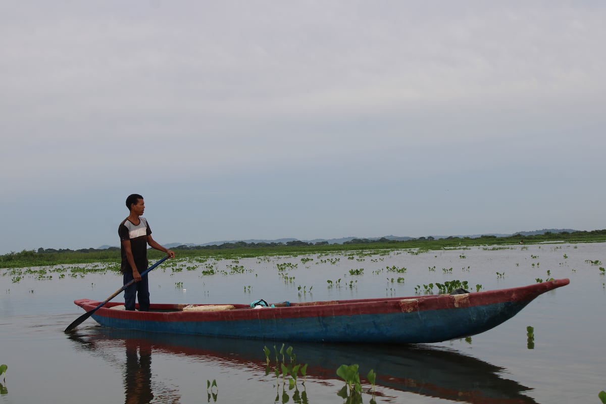 La lucha de una comunidad de pescadores para recuperar la vida en una ciénaga contaminada