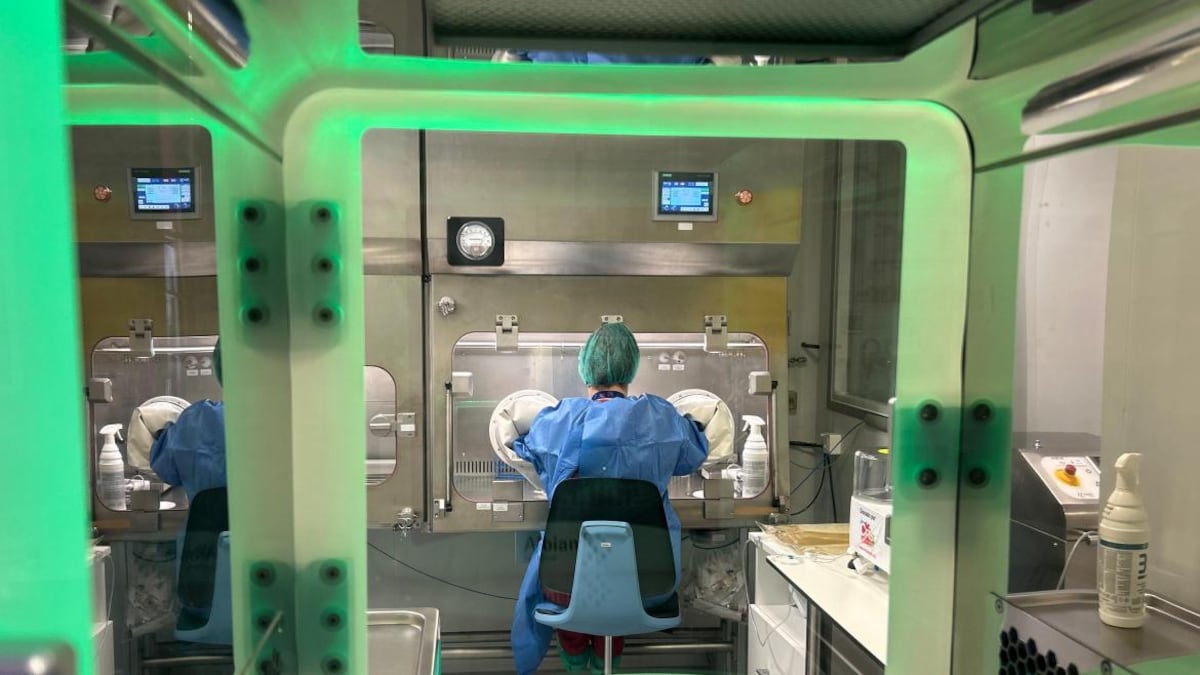 Una terapia CAR-T salva por primera vez en el mundo a una niña con una enfermedad autoinmune rara en el Hospital de La Paz | Ciencia