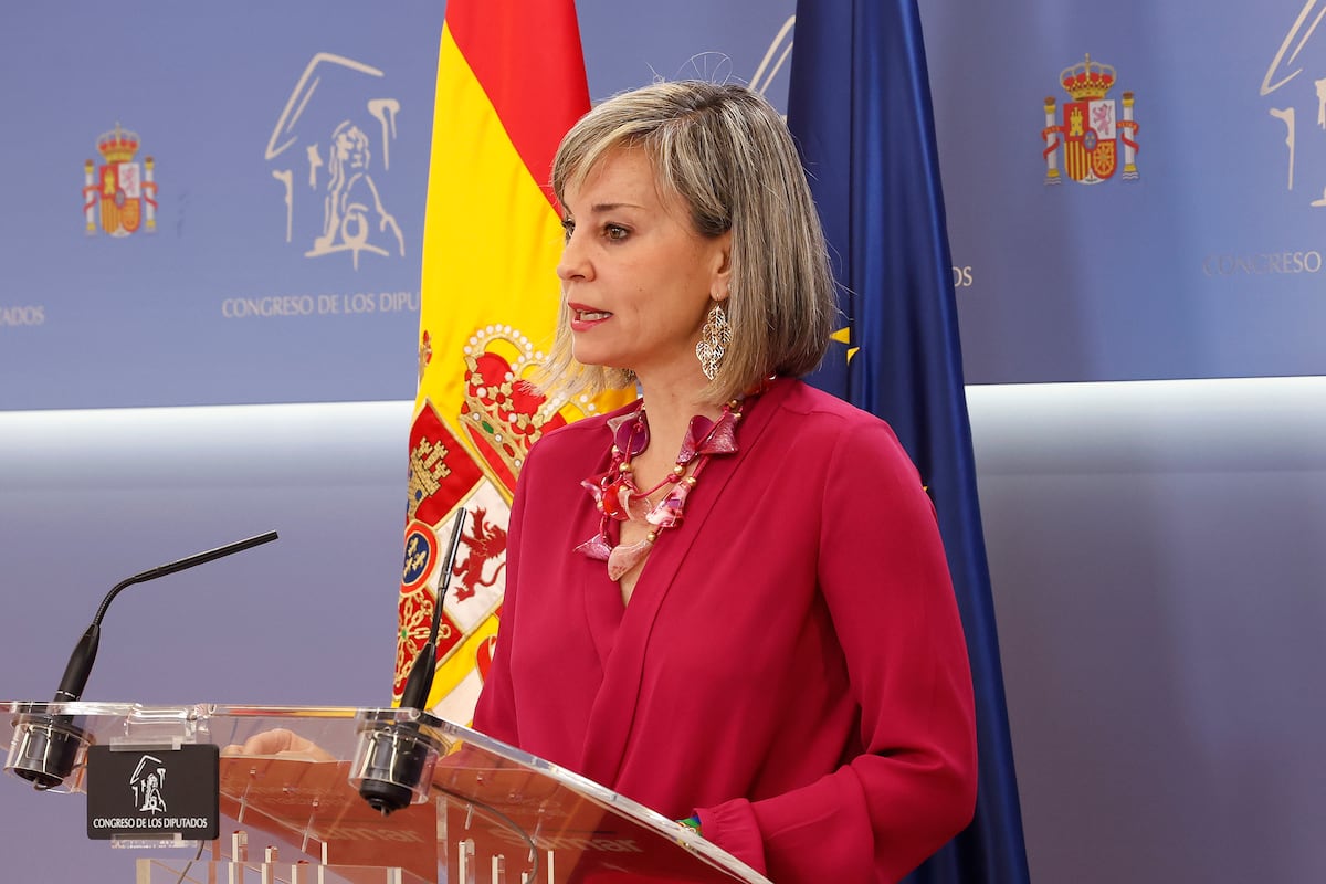 Un agitador ultra boicotea una rueda de prensa en el Congreso con una trifulca sin precedentes | España